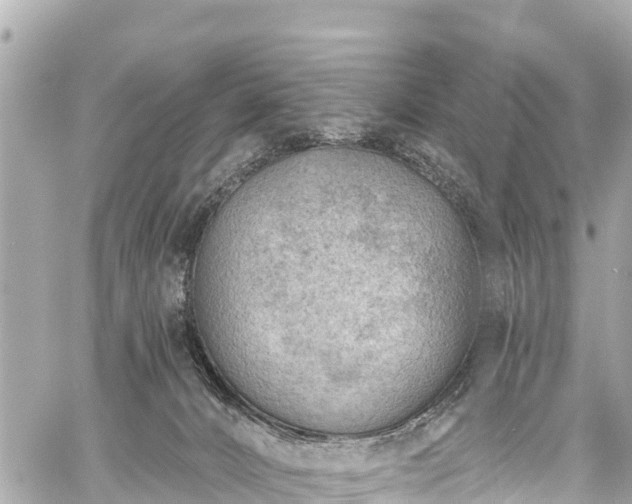 X0000059060032200510101100