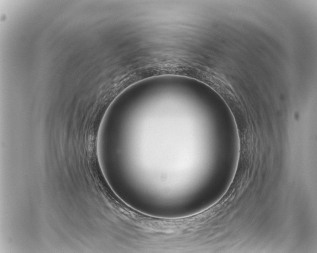 X0000059060033200510101100