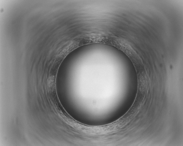 X0000059060034200510101100