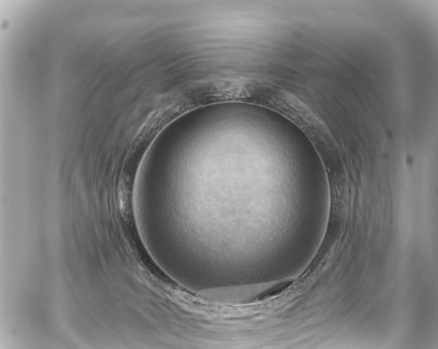 X0000059060035200510101100