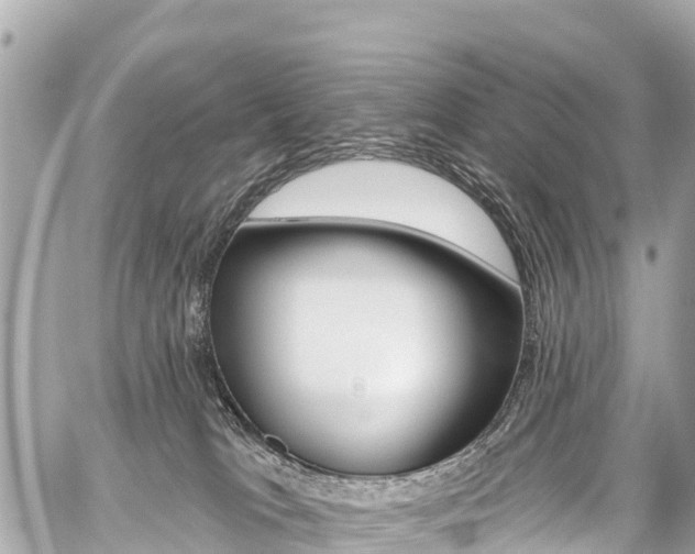 X0000059060037200510101100