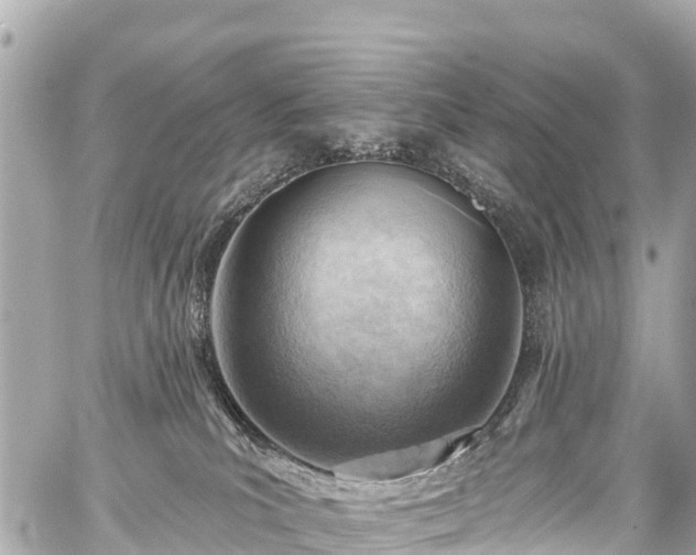 X0000059060039200510101100