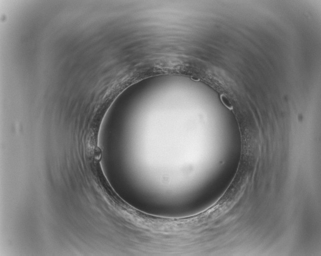 X0000059060040200510101100