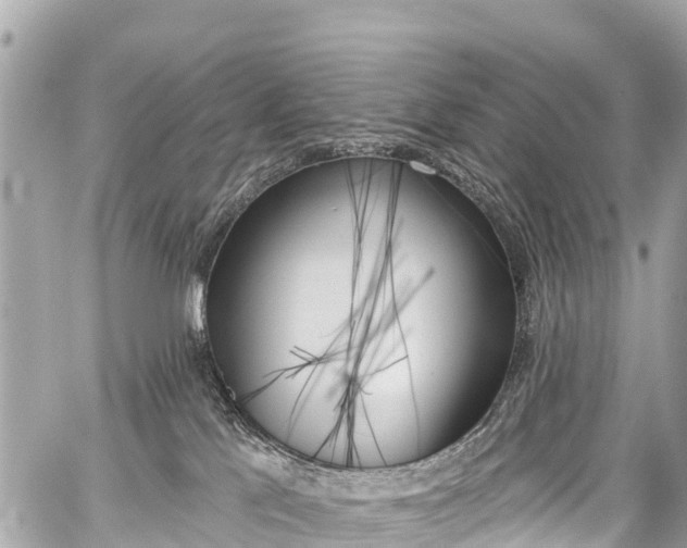 X0000059060041200510101100