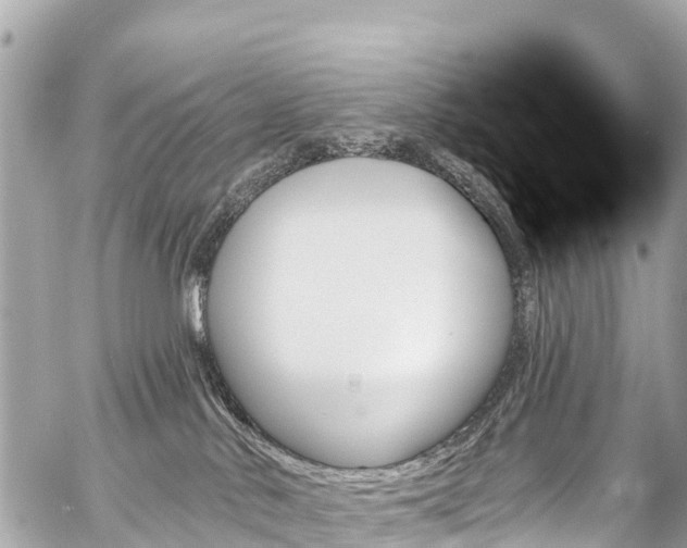 X0000059060042200510101100