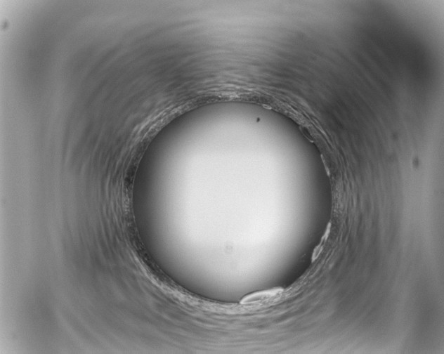 X0000059060043200510101100