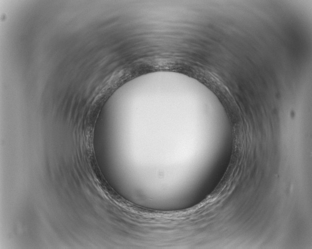 X0000059060044200510101100