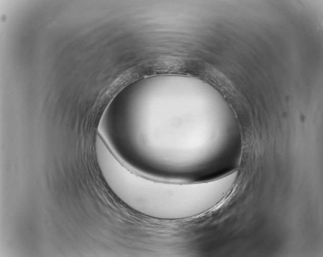 X0000059060045200510101100