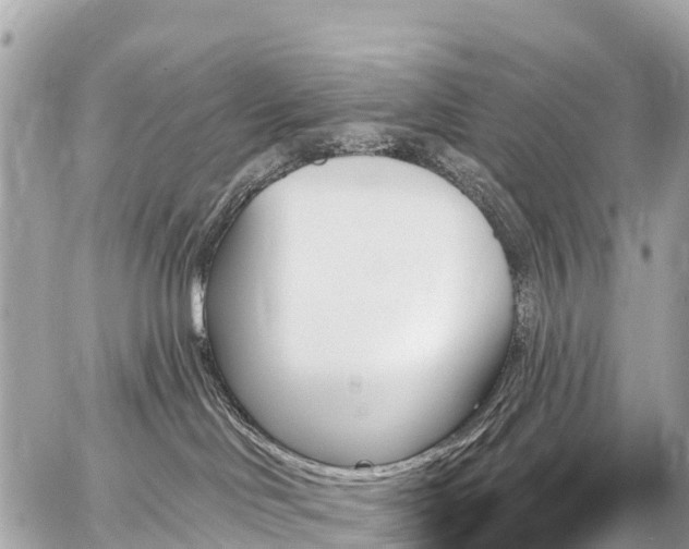 X0000059060046200510101100