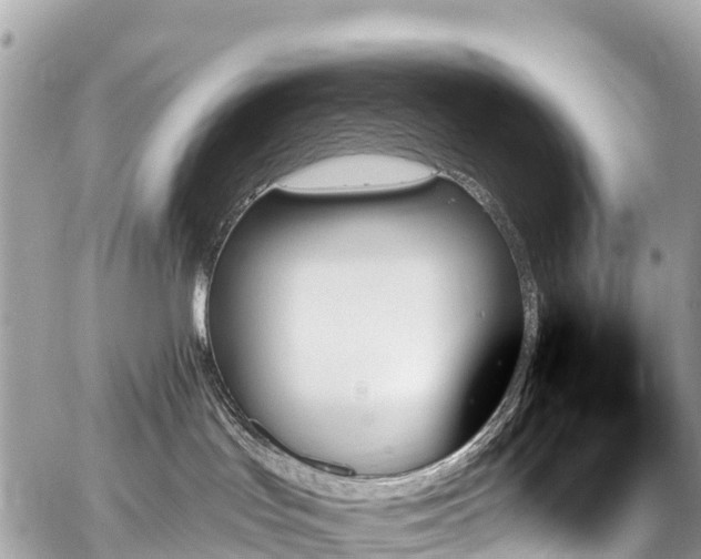 X0000059060047200510101100