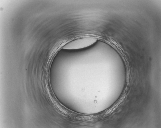 X0000059060049200510101059