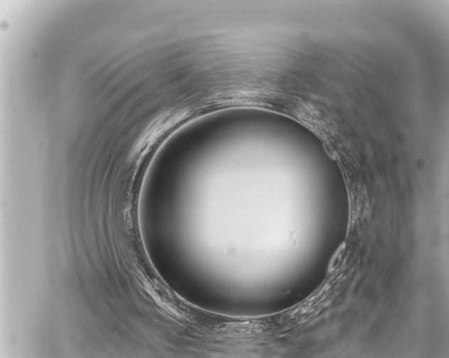 X0000059060050200510101059