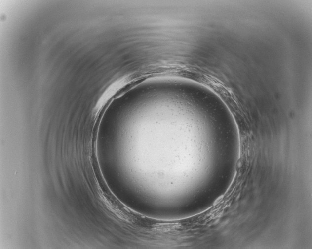 X0000059060051200510101059