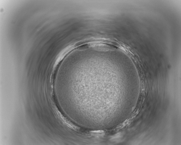 X0000059060053200510101059