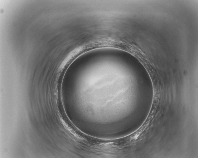 X0000059060054200510101059