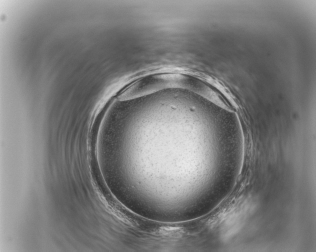 X0000059060055200510101059