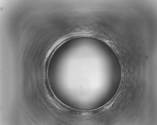 X0000059060056200510101059