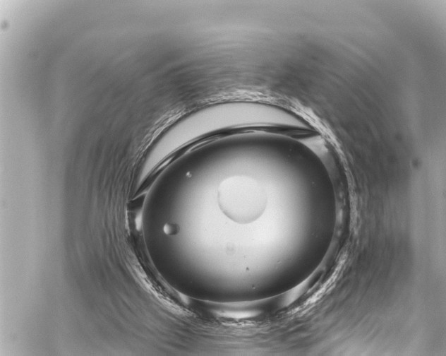 X0000059060057200510101059