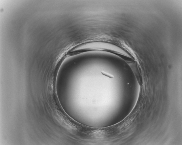 X0000059060059200510101059