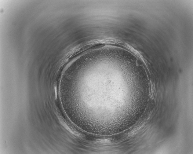 X0000059060061200510101059