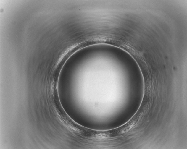 X0000059060064200510101059