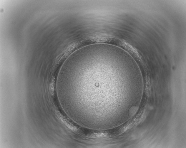 X0000059060065200510101059