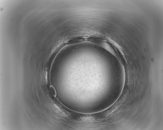 X0000059060067200510101059