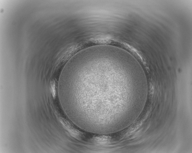 X0000059060069200510101059