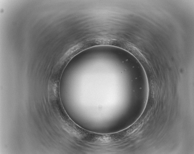 X0000059060071200510101059