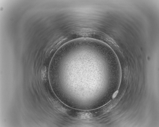 X0000059060073200510101059