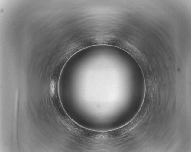 X0000059060075200510101059