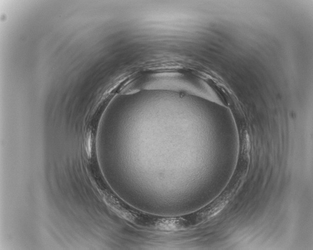 X0000059060076200510101059