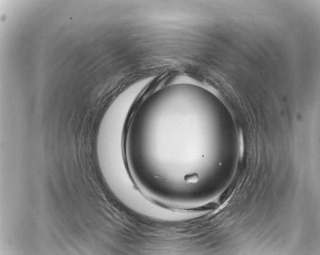 X0000059060078200510101059