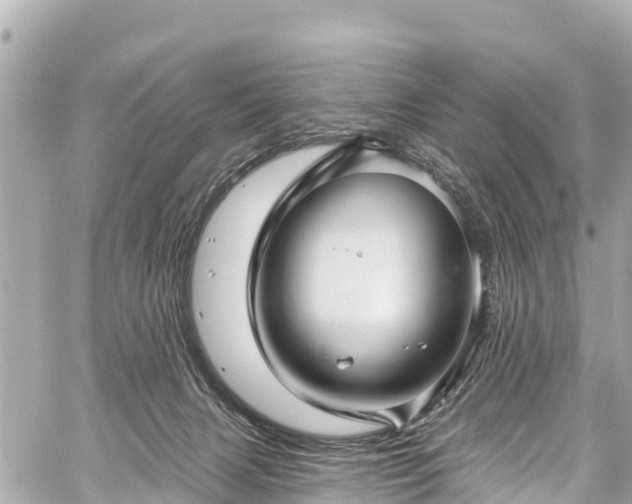 X0000059060079200510101059