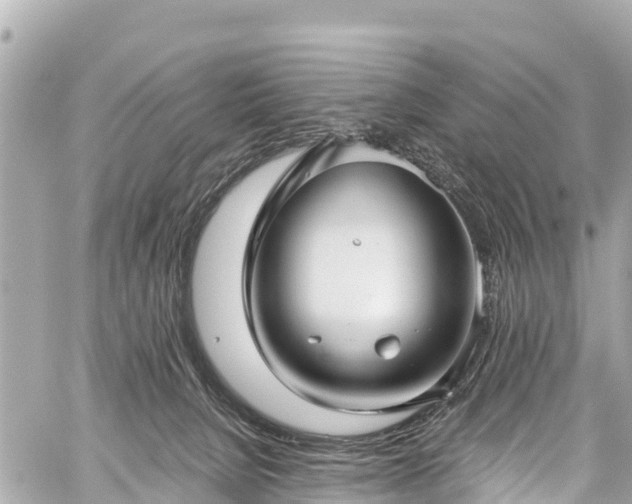 X0000059060080200510101100