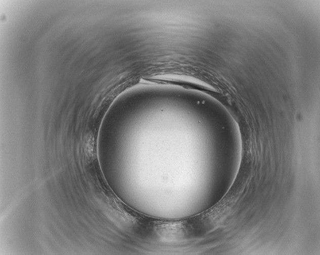 X0000059060081200510101100