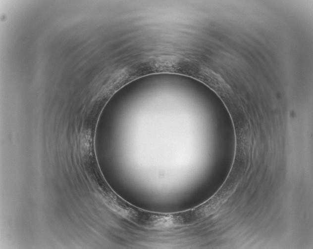 X0000059060083200510101100