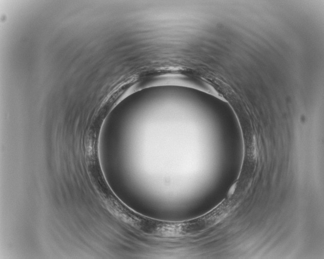 X0000059060084200510101100