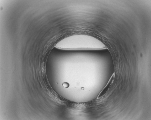 X0000059060085200510101100