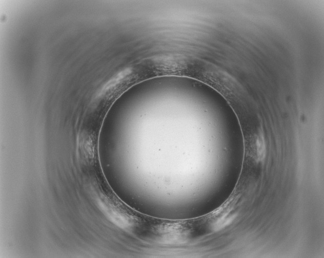 X0000059060086200510101100