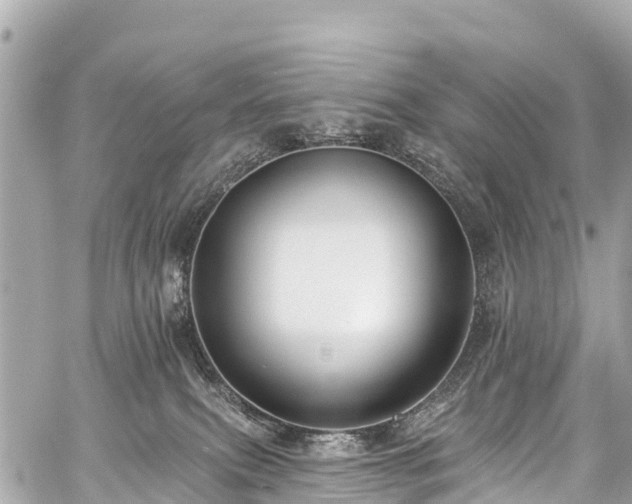 X0000059060087200510101100