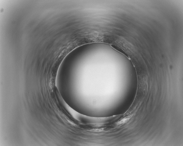 X0000059060088200510101100