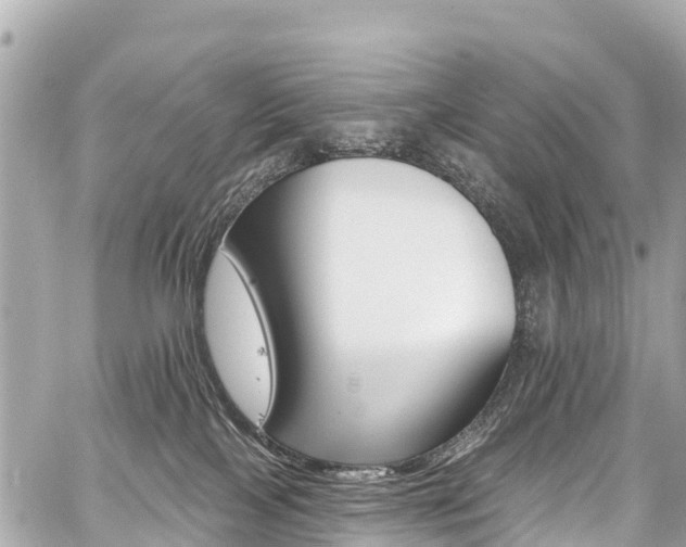 X0000059060089200510101100