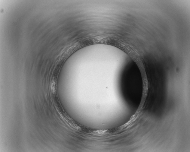 X0000059060090200510101100