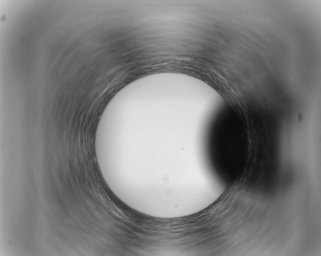 X0000059060091200510101100