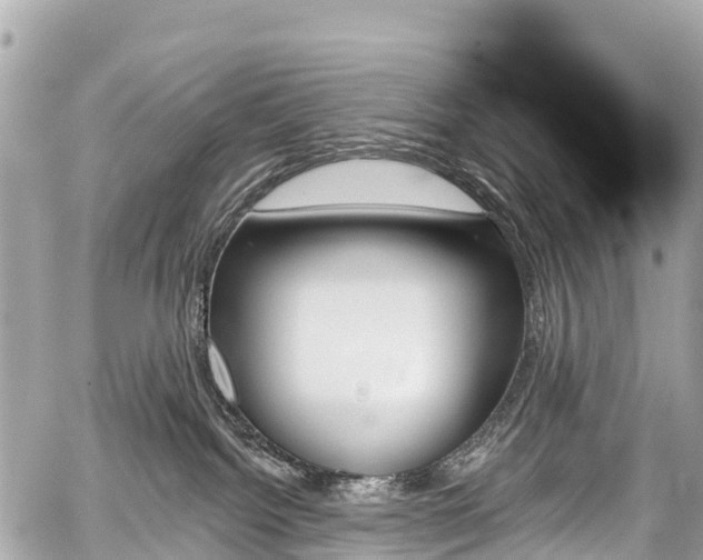 X0000059060092200510101100