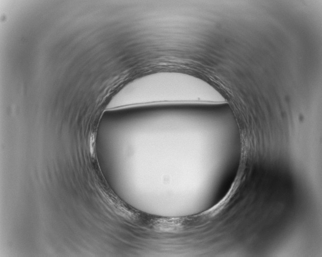 X0000059060094200510101100