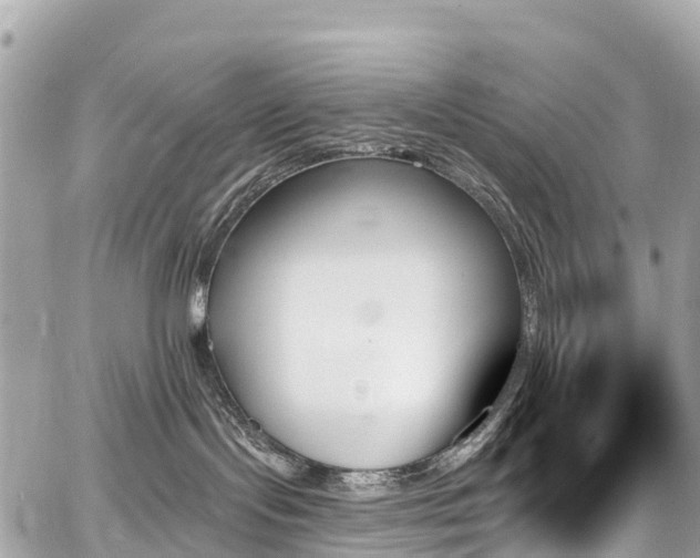 X0000059060095200510101100