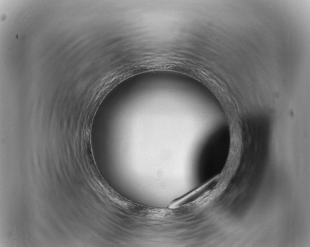 X0000059060096200510101100