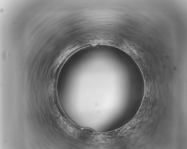 X0000059060098200510101059